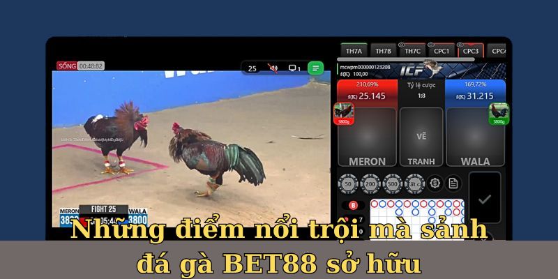 Những điểm nổi trội mà sảnh đá gà BET88 sở hữu