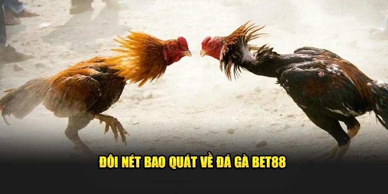 Thông tin về đá gà Bet88 - Sức hút từ nền tảng giải trí số 1