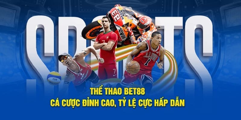 Khám phá thông tin về sảnh thể thao Bet88