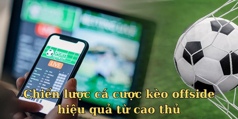 Chiến lược cá cược kèo offside hiệu quả từ cao thủ